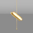 Loft Industry Modern - The Gold Pendant